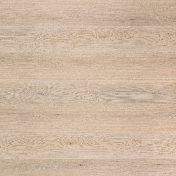 MSI Cyrus 2.0 Austell Grove Luxury Vinyl Plank Flooring