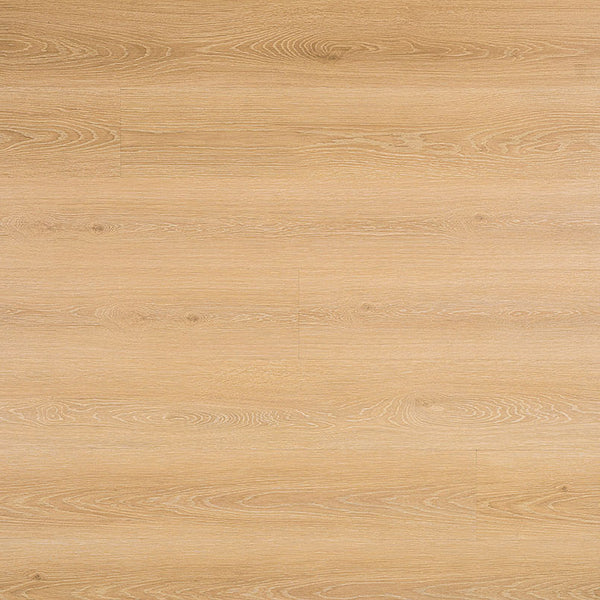 MSI Cyrus 2.0 Valleyview Grove Luxury Vinyl Plank Flooring