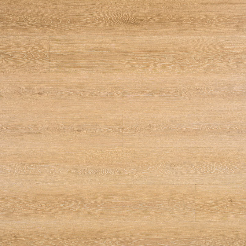 MSI Cyrus Valleyview Grove Luxury Vinyl Plank Flooring