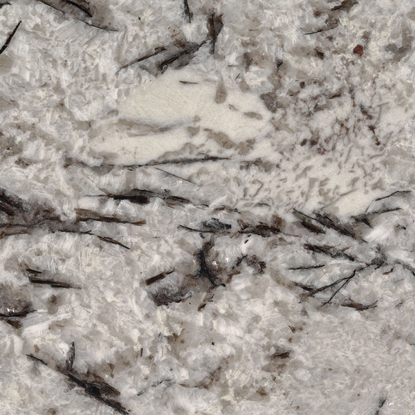 MSI Delicatus White - Granite Slab