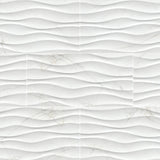 MSI Dymo Calacatta Wavy White 12x24