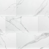 MSI Dymo Statuary 12x24 Tile