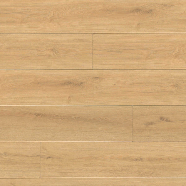 MSI Wayne Parc Elwood Luxury Vinyl Plank Flooring