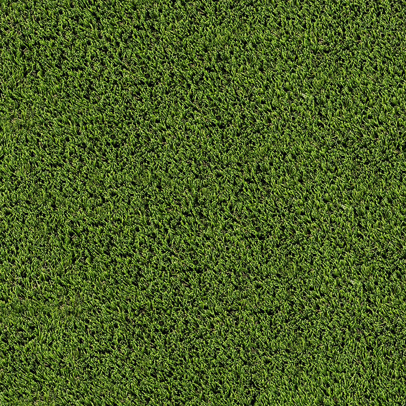 MSI Emerald Green Turf 110 Oz Turf
