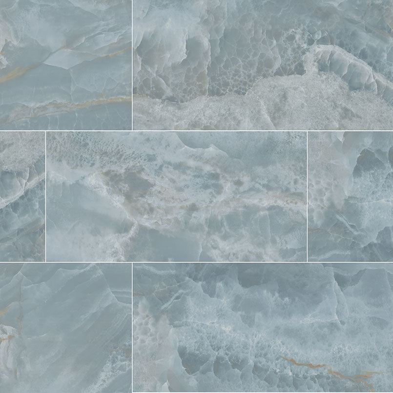 MSI Biotite 24 x 48 Polished