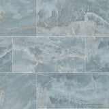 MSI Biotite 24 x 48 Polished