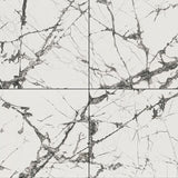 MSI Exotika Lux Iceberg 48x48 Polished