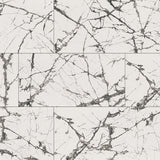 MSI Exotika Lux Iceberg 24x48 Polished