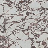 MSI Violetta 24 x 48 Polished