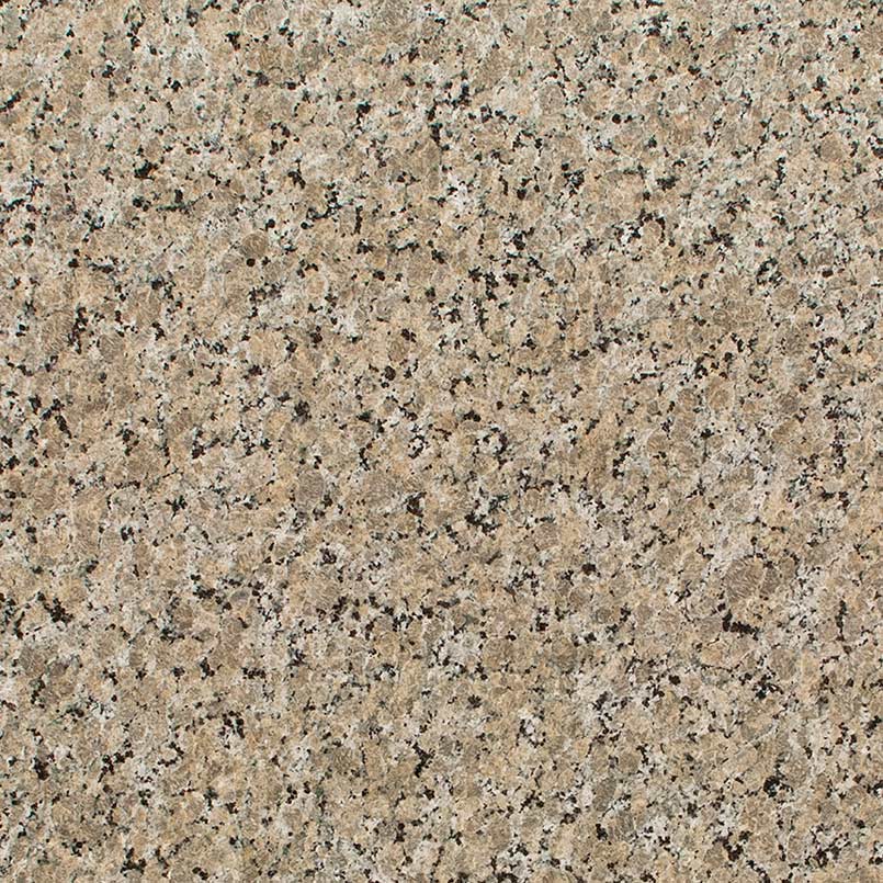 MSI Ferro Gold - Granite Slab