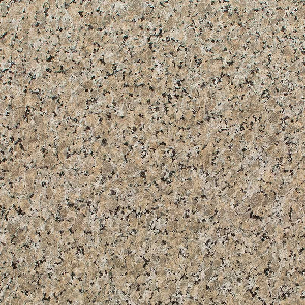 MSI Ferro Gold - Granite Slab