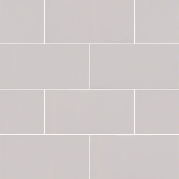 MSI Domino Gray Glossy Subway Tile 3x6