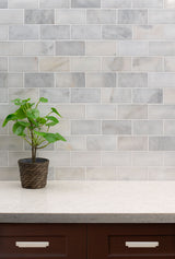 MSI Greecian White Marble Subway Tile 3x6