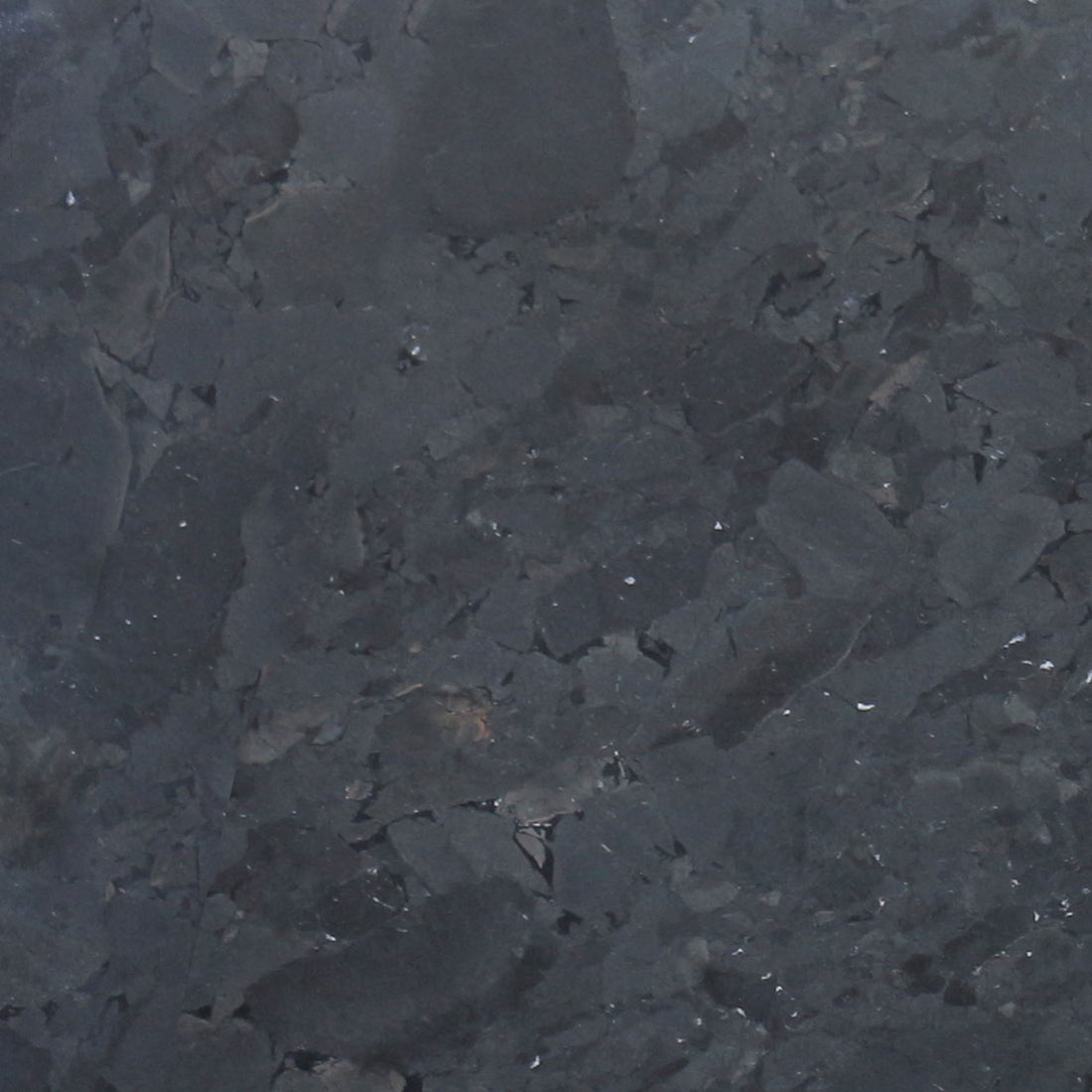 MSI Infinity Black - Quartzite Slab
