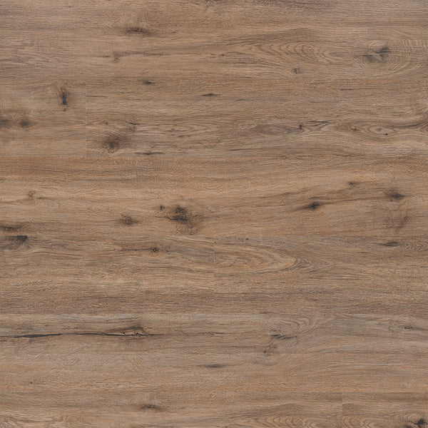 MSI Kallum Fauna Luxury Vinyl Plank Flooring