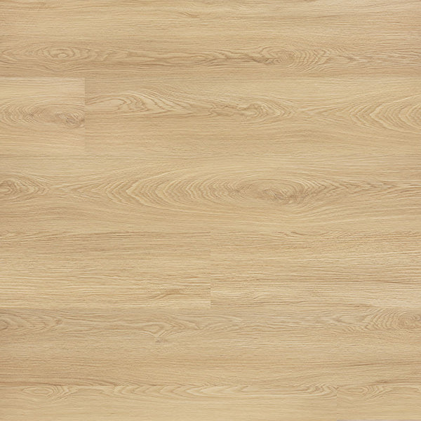 MSI Kallum Larkin Luxury Vinyl Plank Flooring
