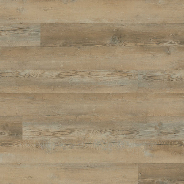 MSI Katavia Lime Washed Oak Luxury Vinyl Plank Flooring