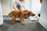 MSI Woodhills Liora Oak Wood Flooring