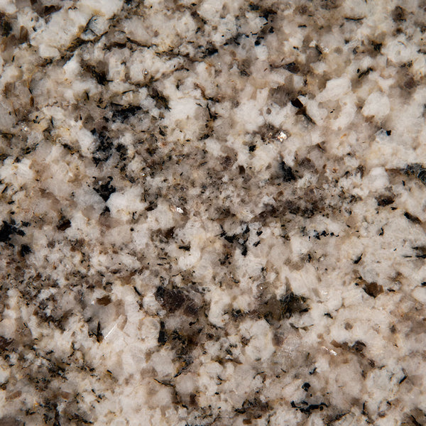 MSI Arctic Sand - Granite Slab