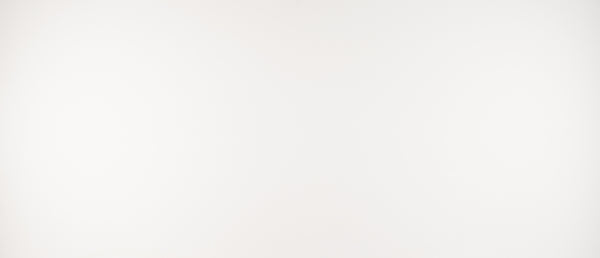 MSI Arctic White Quartz Quartz - Pre-Fab Countertop