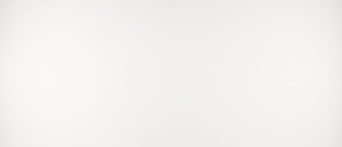 MSI Arctic White - Quartz Slab