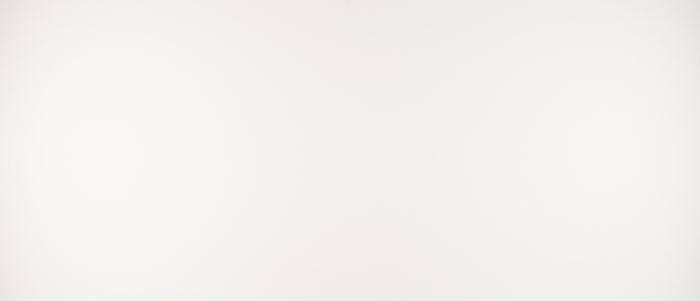 MSI Arctic White - Quartz Slab