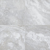 MSI Argento Travertino Porcelain Paver