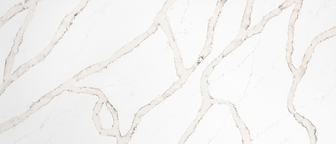 MSI Calacatta Goa - Quartz Slab