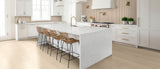 MSI Calacatta Miraggio Cove - Quartz Slab