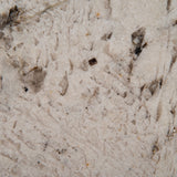 MSI Gray Nuevo - Granite Slab