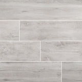 MSI Lucas Canitia Porcelain Paver