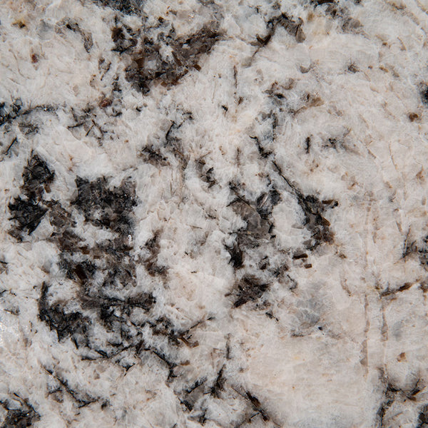 MSI Oyster White - Granite Slab