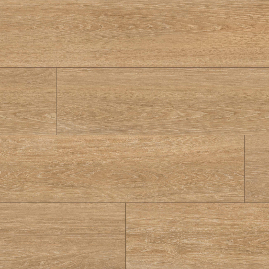 MSI Placero Timber 10 x 60 Matte