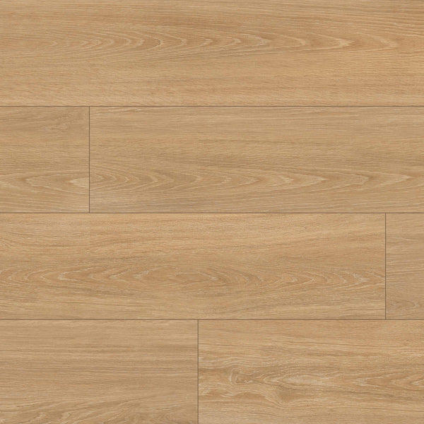 MSI Placero Timber 10 x 60 Matte
