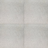 MSI White Mist Granite Paver