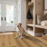 MSI Nove Plus Scandi Luxury Vinyl Plank Flooring