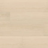 MSI Placero Maple 10 x 60 Matte