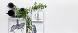 MSI Premium Plus White - Quartz Slab