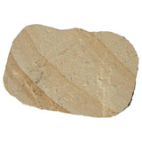MSI Rustic Canyon Stepping Stone