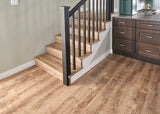 MSI Cyrus Ryder Luxury Vinyl Plank Flooring