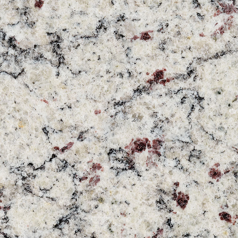 MSI S F Real - Granite Slab