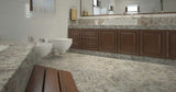 MSI Salinas White - Granite Slab