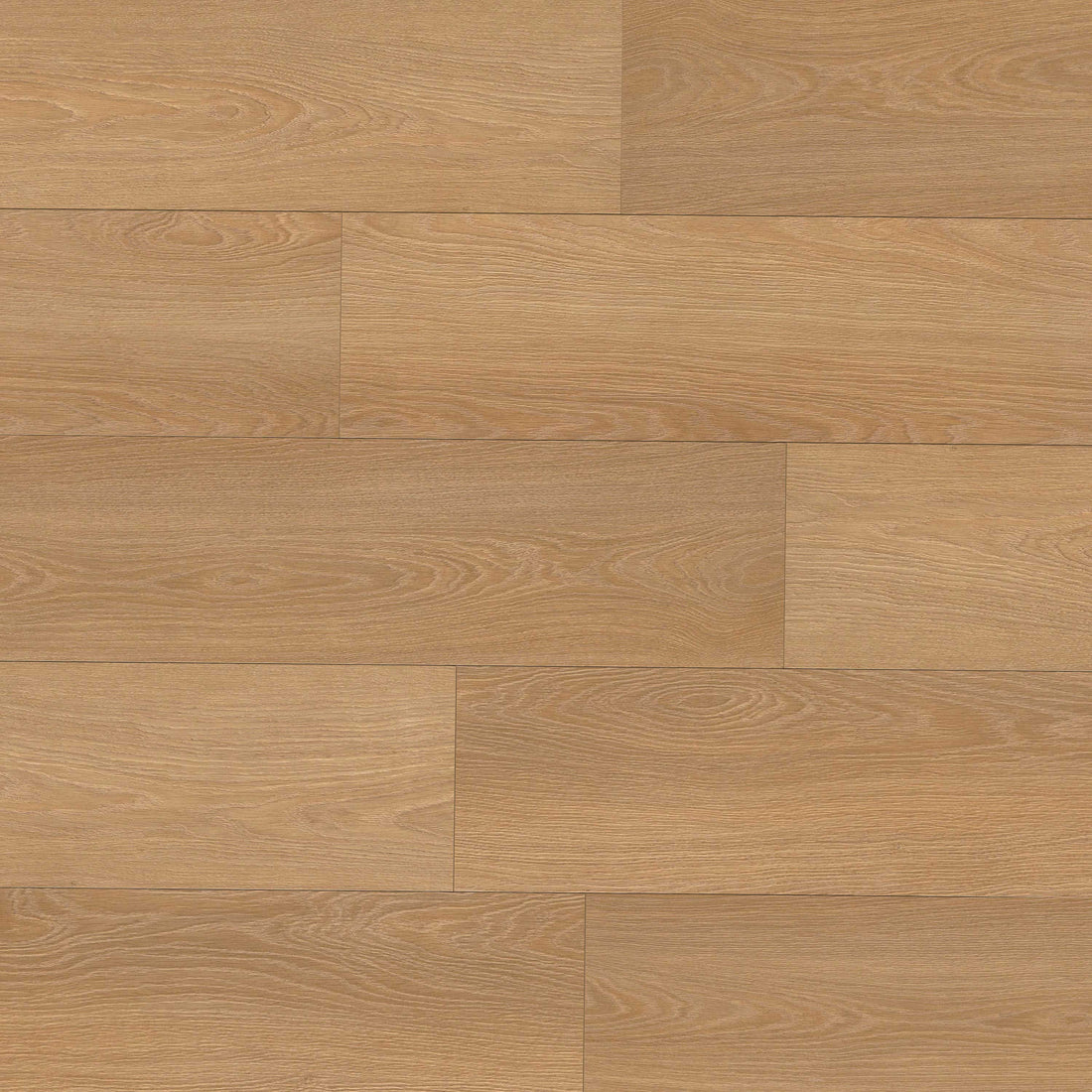 MSI Shorecliffs Wallingford Blonde Rigid Core Flooring