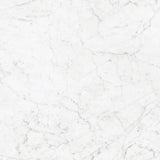 MSI Statuarietto Bianco - Glazed Porcelain Slab