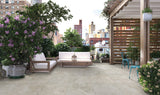 MSI Trevi Silver Porcelain Paver