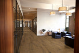 MSI Valgrande Clayborne Wood Look Porcelain Tile