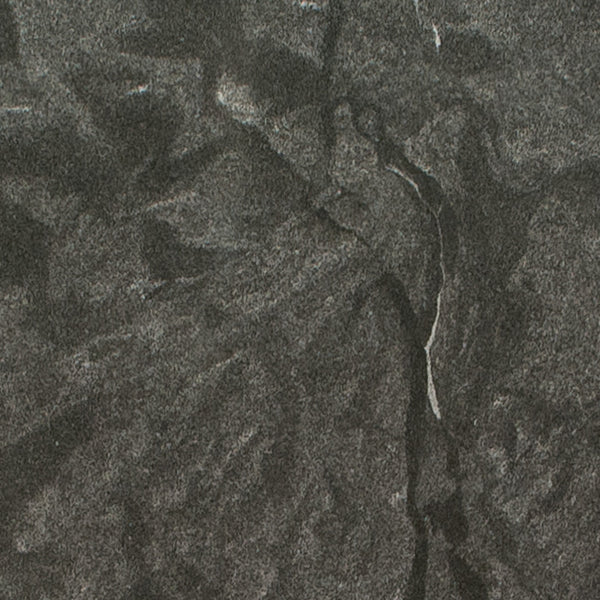 MSI Virginia Mist - Granite Slab