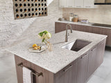 MSI White Ornamental - Granite Slab