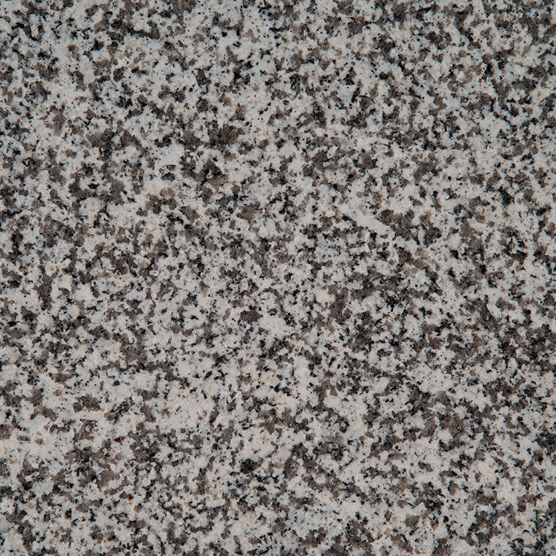 MSI White Sparkle - Granite Slab
