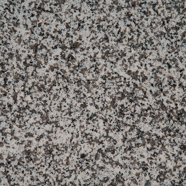 MSI White Sparkle - Granite Slab